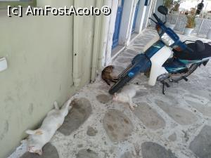 [P83] Caldura mare ! » foto by ilee
 - 
<span class="allrVoted glyphicon glyphicon-heart hidden" id="av1246215"></span>
<a class="m-l-10 hidden" id="sv1246215" onclick="voting_Foto_DelVot(,1246215,10936)" role="button">șterge vot <span class="glyphicon glyphicon-remove"></span></a>
<a id="v91246215" class=" c-red"  onclick="voting_Foto_SetVot(1246215)" role="button"><span class="glyphicon glyphicon-heart-empty"></span> <b>LIKE</b> = Votează poza</a> <img class="hidden"  id="f1246215W9" src="/imagini/loader.gif" border="0" /><span class="AjErrMes hidden" id="e1246215ErM"></span>