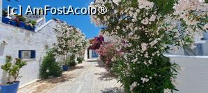 [P02] La pas prin Pyrgos » foto by irinad
 - 
<span class="allrVoted glyphicon glyphicon-heart hidden" id="av1461846"></span>
<a class="m-l-10 hidden" id="sv1461846" onclick="voting_Foto_DelVot(,1461846,10936)" role="button">șterge vot <span class="glyphicon glyphicon-remove"></span></a>
<a id="v91461846" class=" c-red"  onclick="voting_Foto_SetVot(1461846)" role="button"><span class="glyphicon glyphicon-heart-empty"></span> <b>LIKE</b> = Votează poza</a> <img class="hidden"  id="f1461846W9" src="/imagini/loader.gif" border="0" /><span class="AjErrMes hidden" id="e1461846ErM"></span>