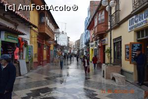 [P01] Una din strazile comerciale din Puno » foto by Pușcașu Marin
 - 
<span class="allrVoted glyphicon glyphicon-heart hidden" id="av919830"></span>
<a class="m-l-10 hidden" id="sv919830" onclick="voting_Foto_DelVot(,919830,11005)" role="button">șterge vot <span class="glyphicon glyphicon-remove"></span></a>
<a id="v9919830" class=" c-red"  onclick="voting_Foto_SetVot(919830)" role="button"><span class="glyphicon glyphicon-heart-empty"></span> <b>LIKE</b> = Votează poza</a> <img class="hidden"  id="f919830W9" src="/imagini/loader.gif" border="0" /><span class="AjErrMes hidden" id="e919830ErM"></span>
