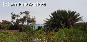 [P10] Vila George Sebastian Hammamet - prin grădină spre mare » foto by nicole33
 - 
<span class="allrVoted glyphicon glyphicon-heart hidden" id="av1172275"></span>
<a class="m-l-10 hidden" id="sv1172275" onclick="voting_Foto_DelVot(,1172275,11011)" role="button">șterge vot <span class="glyphicon glyphicon-remove"></span></a>
<a id="v91172275" class=" c-red"  onclick="voting_Foto_SetVot(1172275)" role="button"><span class="glyphicon glyphicon-heart-empty"></span> <b>LIKE</b> = Votează poza</a> <img class="hidden"  id="f1172275W9" src="/imagini/loader.gif" border="0" /><span class="AjErrMes hidden" id="e1172275ErM"></span>