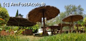 [P39] Vila George Sebastian Hammamet -  loc de picnic în grădină » foto by nicole33
 - 
<span class="allrVoted glyphicon glyphicon-heart hidden" id="av1172304"></span>
<a class="m-l-10 hidden" id="sv1172304" onclick="voting_Foto_DelVot(,1172304,11011)" role="button">șterge vot <span class="glyphicon glyphicon-remove"></span></a>
<a id="v91172304" class=" c-red"  onclick="voting_Foto_SetVot(1172304)" role="button"><span class="glyphicon glyphicon-heart-empty"></span> <b>LIKE</b> = Votează poza</a> <img class="hidden"  id="f1172304W9" src="/imagini/loader.gif" border="0" /><span class="AjErrMes hidden" id="e1172304ErM"></span>