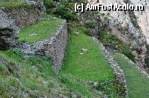 [P37]  -- <small>// FĂRĂ DESCRIERE</small> » foto by Arinuca
 - 
<span class="allrVoted glyphicon glyphicon-heart hidden" id="av294297"></span>
<a class="m-l-10 hidden" id="sv294297" onclick="voting_Foto_DelVot(,294297,11018)" role="button">șterge vot <span class="glyphicon glyphicon-remove"></span></a>
<a id="v9294297" class=" c-red"  onclick="voting_Foto_SetVot(294297)" role="button"><span class="glyphicon glyphicon-heart-empty"></span> <b>LIKE</b> = Votează poza</a> <img class="hidden"  id="f294297W9" src="/imagini/loader.gif" border="0" /><span class="AjErrMes hidden" id="e294297ErM"></span>