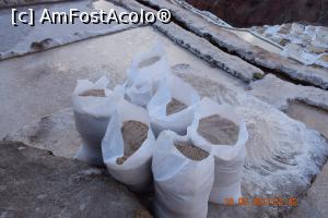 [P29] Gata de carat... nu se poate decat cu carca » foto by Pușcașu Marin
 - 
<span class="allrVoted glyphicon glyphicon-heart hidden" id="av922046"></span>
<a class="m-l-10 hidden" id="sv922046" onclick="voting_Foto_DelVot(,922046,11018)" role="button">șterge vot <span class="glyphicon glyphicon-remove"></span></a>
<a id="v9922046" class=" c-red"  onclick="voting_Foto_SetVot(922046)" role="button"><span class="glyphicon glyphicon-heart-empty"></span> <b>LIKE</b> = Votează poza</a> <img class="hidden"  id="f922046W9" src="/imagini/loader.gif" border="0" /><span class="AjErrMes hidden" id="e922046ErM"></span>