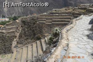 [P16] Cam ingusta poteca, dar cine se uita la ea?  » foto by Pușcașu Marin
 - 
<span class="allrVoted glyphicon glyphicon-heart hidden" id="av922711"></span>
<a class="m-l-10 hidden" id="sv922711" onclick="voting_Foto_DelVot(,922711,11018)" role="button">șterge vot <span class="glyphicon glyphicon-remove"></span></a>
<a id="v9922711" class=" c-red"  onclick="voting_Foto_SetVot(922711)" role="button"><span class="glyphicon glyphicon-heart-empty"></span> <b>LIKE</b> = Votează poza</a> <img class="hidden"  id="f922711W9" src="/imagini/loader.gif" border="0" /><span class="AjErrMes hidden" id="e922711ErM"></span>