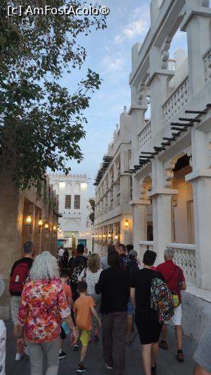 [P02] In drum spre Souq Waqif » foto by balasa violeta
 - 
<span class="allrVoted glyphicon glyphicon-heart hidden" id="av1405248"></span>
<a class="m-l-10 hidden" id="sv1405248" onclick="voting_Foto_DelVot(,1405248,11020)" role="button">șterge vot <span class="glyphicon glyphicon-remove"></span></a>
<a id="v91405248" class=" c-red"  onclick="voting_Foto_SetVot(1405248)" role="button"><span class="glyphicon glyphicon-heart-empty"></span> <b>LIKE</b> = Votează poza</a> <img class="hidden"  id="f1405248W9" src="/imagini/loader.gif" border="0" /><span class="AjErrMes hidden" id="e1405248ErM"></span>