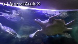 [P03]  -- <small>// FĂRĂ DESCRIERE</small> » foto by geani anto
 - 
<span class="allrVoted glyphicon glyphicon-heart hidden" id="av1509516"></span>
<a class="m-l-10 hidden" id="sv1509516" onclick="voting_Foto_DelVot(,1509516,11037)" role="button">șterge vot <span class="glyphicon glyphicon-remove"></span></a>
<a id="v91509516" class=" c-red"  onclick="voting_Foto_SetVot(1509516)" role="button"><span class="glyphicon glyphicon-heart-empty"></span> <b>LIKE</b> = Votează poza</a> <img class="hidden"  id="f1509516W9" src="/imagini/loader.gif" border="0" /><span class="AjErrMes hidden" id="e1509516ErM"></span>