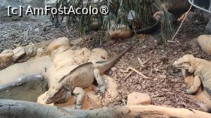 [P08]  -- <small>// FĂRĂ DESCRIERE</small> » foto by geani anto
 - 
<span class="allrVoted glyphicon glyphicon-heart hidden" id="av1509521"></span>
<a class="m-l-10 hidden" id="sv1509521" onclick="voting_Foto_DelVot(,1509521,11037)" role="button">șterge vot <span class="glyphicon glyphicon-remove"></span></a>
<a id="v91509521" class=" c-red"  onclick="voting_Foto_SetVot(1509521)" role="button"><span class="glyphicon glyphicon-heart-empty"></span> <b>LIKE</b> = Votează poza</a> <img class="hidden"  id="f1509521W9" src="/imagini/loader.gif" border="0" /><span class="AjErrMes hidden" id="e1509521ErM"></span>