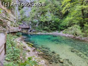 [P20] La pas prin Canionul Vintgar; aici peisajul se lărgește... » foto by crismis
 - 
<span class="allrVoted glyphicon glyphicon-heart hidden" id="av1510699"></span>
<a class="m-l-10 hidden" id="sv1510699" onclick="voting_Foto_DelVot(,1510699,11040)" role="button">șterge vot <span class="glyphicon glyphicon-remove"></span></a>
<a id="v91510699" class=" c-red"  onclick="voting_Foto_SetVot(1510699)" role="button"><span class="glyphicon glyphicon-heart-empty"></span> <b>LIKE</b> = Votează poza</a> <img class="hidden"  id="f1510699W9" src="/imagini/loader.gif" border="0" /><span class="AjErrMes hidden" id="e1510699ErM"></span>