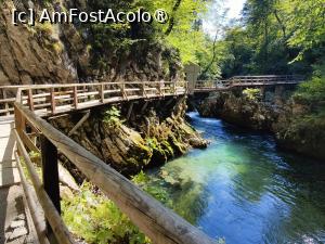 [P08] La pas prin Canionul Vintgar » foto by crismis
 - 
<span class="allrVoted glyphicon glyphicon-heart hidden" id="av1510687"></span>
<a class="m-l-10 hidden" id="sv1510687" onclick="voting_Foto_DelVot(,1510687,11040)" role="button">șterge vot <span class="glyphicon glyphicon-remove"></span></a>
<a id="v91510687" class=" c-red"  onclick="voting_Foto_SetVot(1510687)" role="button"><span class="glyphicon glyphicon-heart-empty"></span> <b>LIKE</b> = Votează poza</a> <img class="hidden"  id="f1510687W9" src="/imagini/loader.gif" border="0" /><span class="AjErrMes hidden" id="e1510687ErM"></span>