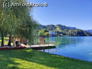 [P08] Plimbare în jurul lacului Bled; „inima” pentru poze » foto by crismis
 - 
<span class="allrVoted glyphicon glyphicon-heart hidden" id="av1513804"></span>
<a class="m-l-10 hidden" id="sv1513804" onclick="voting_Foto_DelVot(,1513804,11040)" role="button">șterge vot <span class="glyphicon glyphicon-remove"></span></a>
<a id="v91513804" class=" c-red"  onclick="voting_Foto_SetVot(1513804)" role="button"><span class="glyphicon glyphicon-heart-empty"></span> <b>LIKE</b> = Votează poza</a> <img class="hidden"  id="f1513804W9" src="/imagini/loader.gif" border="0" /><span class="AjErrMes hidden" id="e1513804ErM"></span>