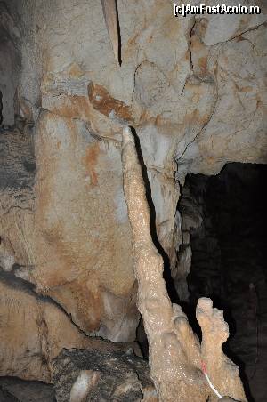 [P21]  -- <small>// FĂRĂ DESCRIERE</small> » foto by alunelu69
 - 
<span class="allrVoted glyphicon glyphicon-heart hidden" id="av674413"></span>
<a class="m-l-10 hidden" id="sv674413" onclick="voting_Foto_DelVot(,674413,11045)" role="button">șterge vot <span class="glyphicon glyphicon-remove"></span></a>
<a id="v9674413" class=" c-red"  onclick="voting_Foto_SetVot(674413)" role="button"><span class="glyphicon glyphicon-heart-empty"></span> <b>LIKE</b> = Votează poza</a> <img class="hidden"  id="f674413W9" src="/imagini/loader.gif" border="0" /><span class="AjErrMes hidden" id="e674413ErM"></span>