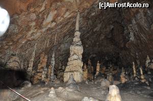 [P23]  -- <small>// FĂRĂ DESCRIERE</small> » foto by alunelu69
 - 
<span class="allrVoted glyphicon glyphicon-heart hidden" id="av674418"></span>
<a class="m-l-10 hidden" id="sv674418" onclick="voting_Foto_DelVot(,674418,11045)" role="button">șterge vot <span class="glyphicon glyphicon-remove"></span></a>
<a id="v9674418" class=" c-red"  onclick="voting_Foto_SetVot(674418)" role="button"><span class="glyphicon glyphicon-heart-empty"></span> <b>LIKE</b> = Votează poza</a> <img class="hidden"  id="f674418W9" src="/imagini/loader.gif" border="0" /><span class="AjErrMes hidden" id="e674418ErM"></span>