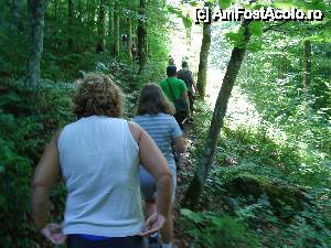 [P10] Urcăm spre peșteră. La început poteca este cu o înclinație destul de blândă.  » foto by Utube
 - 
<span class="allrVoted glyphicon glyphicon-heart hidden" id="av408299"></span>
<a class="m-l-10 hidden" id="sv408299" onclick="voting_Foto_DelVot(,408299,11045)" role="button">șterge vot <span class="glyphicon glyphicon-remove"></span></a>
<a id="v9408299" class=" c-red"  onclick="voting_Foto_SetVot(408299)" role="button"><span class="glyphicon glyphicon-heart-empty"></span> <b>LIKE</b> = Votează poza</a> <img class="hidden"  id="f408299W9" src="/imagini/loader.gif" border="0" /><span class="AjErrMes hidden" id="e408299ErM"></span>