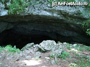 [P14] Intrarea în peșteră.  » foto by Utube
 - 
<span class="allrVoted glyphicon glyphicon-heart hidden" id="av408303"></span>
<a class="m-l-10 hidden" id="sv408303" onclick="voting_Foto_DelVot(,408303,11045)" role="button">șterge vot <span class="glyphicon glyphicon-remove"></span></a>
<a id="v9408303" class=" c-red"  onclick="voting_Foto_SetVot(408303)" role="button"><span class="glyphicon glyphicon-heart-empty"></span> <b>LIKE</b> = Votează poza</a> <img class="hidden"  id="f408303W9" src="/imagini/loader.gif" border="0" /><span class="AjErrMes hidden" id="e408303ErM"></span>
