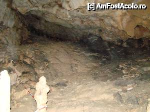 [P29]  -- <small>// FĂRĂ DESCRIERE</small> » foto by Utube
 - 
<span class="allrVoted glyphicon glyphicon-heart hidden" id="av408318"></span>
<a class="m-l-10 hidden" id="sv408318" onclick="voting_Foto_DelVot(,408318,11045)" role="button">șterge vot <span class="glyphicon glyphicon-remove"></span></a>
<a id="v9408318" class=" c-red"  onclick="voting_Foto_SetVot(408318)" role="button"><span class="glyphicon glyphicon-heart-empty"></span> <b>LIKE</b> = Votează poza</a> <img class="hidden"  id="f408318W9" src="/imagini/loader.gif" border="0" /><span class="AjErrMes hidden" id="e408318ErM"></span>