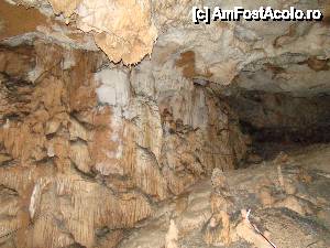 [P31]  -- <small>// FĂRĂ DESCRIERE</small> » foto by Utube
 - 
<span class="allrVoted glyphicon glyphicon-heart hidden" id="av408320"></span>
<a class="m-l-10 hidden" id="sv408320" onclick="voting_Foto_DelVot(,408320,11045)" role="button">șterge vot <span class="glyphicon glyphicon-remove"></span></a>
<a id="v9408320" class=" c-red"  onclick="voting_Foto_SetVot(408320)" role="button"><span class="glyphicon glyphicon-heart-empty"></span> <b>LIKE</b> = Votează poza</a> <img class="hidden"  id="f408320W9" src="/imagini/loader.gif" border="0" /><span class="AjErrMes hidden" id="e408320ErM"></span>