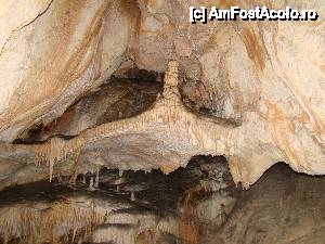 [P47]  -- <small>// FĂRĂ DESCRIERE</small> » foto by Utube
 - 
<span class="allrVoted glyphicon glyphicon-heart hidden" id="av408336"></span>
<a class="m-l-10 hidden" id="sv408336" onclick="voting_Foto_DelVot(,408336,11045)" role="button">șterge vot <span class="glyphicon glyphicon-remove"></span></a>
<a id="v9408336" class=" c-red"  onclick="voting_Foto_SetVot(408336)" role="button"><span class="glyphicon glyphicon-heart-empty"></span> <b>LIKE</b> = Votează poza</a> <img class="hidden"  id="f408336W9" src="/imagini/loader.gif" border="0" /><span class="AjErrMes hidden" id="e408336ErM"></span>