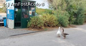 [P19] Stația de autobuz din Galissas » foto by Carmen Ion
 - 
<span class="allrVoted glyphicon glyphicon-heart hidden" id="av1427411"></span>
<a class="m-l-10 hidden" id="sv1427411" onclick="voting_Foto_DelVot(,1427411,11071)" role="button">șterge vot <span class="glyphicon glyphicon-remove"></span></a>
<a id="v91427411" class=" c-red"  onclick="voting_Foto_SetVot(1427411)" role="button"><span class="glyphicon glyphicon-heart-empty"></span> <b>LIKE</b> = Votează poza</a> <img class="hidden"  id="f1427411W9" src="/imagini/loader.gif" border="0" /><span class="AjErrMes hidden" id="e1427411ErM"></span>