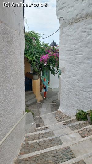 [P14] Ano Syros - trepte și flori » foto by Carmen Ion
 - 
<span class="allrVoted glyphicon glyphicon-heart hidden" id="av1428518"></span>
<a class="m-l-10 hidden" id="sv1428518" onclick="voting_Foto_DelVot(,1428518,11071)" role="button">șterge vot <span class="glyphicon glyphicon-remove"></span></a>
<a id="v91428518" class=" c-red"  onclick="voting_Foto_SetVot(1428518)" role="button"><span class="glyphicon glyphicon-heart-empty"></span> <b>LIKE</b> = Votează poza</a> <img class="hidden"  id="f1428518W9" src="/imagini/loader.gif" border="0" /><span class="AjErrMes hidden" id="e1428518ErM"></span>