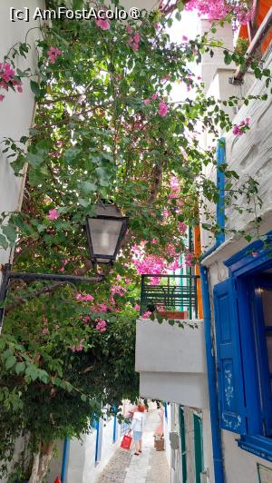 [P17] Alt colțișor pitoresc din Ano Syros » foto by Carmen Ion
 - 
<span class="allrVoted glyphicon glyphicon-heart hidden" id="av1428521"></span>
<a class="m-l-10 hidden" id="sv1428521" onclick="voting_Foto_DelVot(,1428521,11071)" role="button">șterge vot <span class="glyphicon glyphicon-remove"></span></a>
<a id="v91428521" class=" c-red"  onclick="voting_Foto_SetVot(1428521)" role="button"><span class="glyphicon glyphicon-heart-empty"></span> <b>LIKE</b> = Votează poza</a> <img class="hidden"  id="f1428521W9" src="/imagini/loader.gif" border="0" /><span class="AjErrMes hidden" id="e1428521ErM"></span>