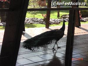 [P09]  -- <small>// FĂRĂ DESCRIERE</small> » foto by marmunteanu*
 - 
<span class="allrVoted glyphicon glyphicon-heart hidden" id="av434630"></span>
<a class="m-l-10 hidden" id="sv434630" onclick="voting_Foto_DelVot(,434630,11074)" role="button">șterge vot <span class="glyphicon glyphicon-remove"></span></a>
<a id="v9434630" class=" c-red"  onclick="voting_Foto_SetVot(434630)" role="button"><span class="glyphicon glyphicon-heart-empty"></span> <b>LIKE</b> = Votează poza</a> <img class="hidden"  id="f434630W9" src="/imagini/loader.gif" border="0" /><span class="AjErrMes hidden" id="e434630ErM"></span>