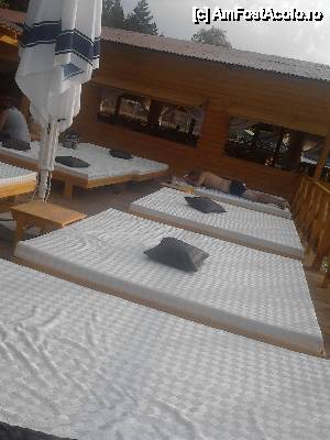 [P08] Ponton Bamboo » foto by Alina Roxana
 - 
<span class="allrVoted glyphicon glyphicon-heart hidden" id="av442338"></span>
<a class="m-l-10 hidden" id="sv442338" onclick="voting_Foto_DelVot(,442338,11088)" role="button">șterge vot <span class="glyphicon glyphicon-remove"></span></a>
<a id="v9442338" class=" c-red"  onclick="voting_Foto_SetVot(442338)" role="button"><span class="glyphicon glyphicon-heart-empty"></span> <b>LIKE</b> = Votează poza</a> <img class="hidden"  id="f442338W9" src="/imagini/loader.gif" border="0" /><span class="AjErrMes hidden" id="e442338ErM"></span>