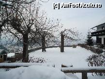 [P13]  -- <small>// FĂRĂ DESCRIERE</small> » foto by elenahelen
 - 
<span class="allrVoted glyphicon glyphicon-heart hidden" id="av297809"></span>
<a class="m-l-10 hidden" id="sv297809" onclick="voting_Foto_DelVot(,297809,11094)" role="button">șterge vot <span class="glyphicon glyphicon-remove"></span></a>
<a id="v9297809" class=" c-red"  onclick="voting_Foto_SetVot(297809)" role="button"><span class="glyphicon glyphicon-heart-empty"></span> <b>LIKE</b> = Votează poza</a> <img class="hidden"  id="f297809W9" src="/imagini/loader.gif" border="0" /><span class="AjErrMes hidden" id="e297809ErM"></span>