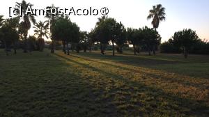 [P26]  -- <small>// FĂRĂ DESCRIERE</small> » foto by adrian.seres
 - 
<span class="allrVoted glyphicon glyphicon-heart hidden" id="av1498692"></span>
<a class="m-l-10 hidden" id="sv1498692" onclick="voting_Foto_DelVot(,1498692,11127)" role="button">șterge vot <span class="glyphicon glyphicon-remove"></span></a>
<a id="v91498692" class=" c-red"  onclick="voting_Foto_SetVot(1498692)" role="button"><span class="glyphicon glyphicon-heart-empty"></span> <b>LIKE</b> = Votează poza</a> <img class="hidden"  id="f1498692W9" src="/imagini/loader.gif" border="0" /><span class="AjErrMes hidden" id="e1498692ErM"></span>