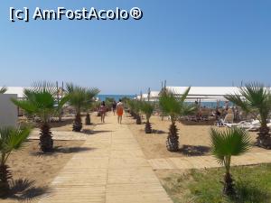 [P04]  -- <small>// FĂRĂ DESCRIERE</small> » foto by geanigi
 - 
<span class="allrVoted glyphicon glyphicon-heart hidden" id="av1089056"></span>
<a class="m-l-10 hidden" id="sv1089056" onclick="voting_Foto_DelVot(,1089056,11127)" role="button">șterge vot <span class="glyphicon glyphicon-remove"></span></a>
<a id="v91089056" class=" c-red"  onclick="voting_Foto_SetVot(1089056)" role="button"><span class="glyphicon glyphicon-heart-empty"></span> <b>LIKE</b> = Votează poza</a> <img class="hidden"  id="f1089056W9" src="/imagini/loader.gif" border="0" /><span class="AjErrMes hidden" id="e1089056ErM"></span>