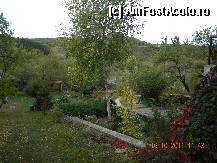 [P35] imagine din curtea pensiunii- toamna » foto by silvia tudoran
 - 
<span class="allrVoted glyphicon glyphicon-heart hidden" id="av300788"></span>
<a class="m-l-10 hidden" id="sv300788" onclick="voting_Foto_DelVot(,300788,11150)" role="button">șterge vot <span class="glyphicon glyphicon-remove"></span></a>
<a id="v9300788" class=" c-red"  onclick="voting_Foto_SetVot(300788)" role="button"><span class="glyphicon glyphicon-heart-empty"></span> <b>LIKE</b> = Votează poza</a> <img class="hidden"  id="f300788W9" src="/imagini/loader.gif" border="0" /><span class="AjErrMes hidden" id="e300788ErM"></span>