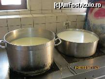 [P14] Branza pentru consumul clientilor se face ,,ca la bunica la tara,, » foto by bog68
 - 
<span class="allrVoted glyphicon glyphicon-heart hidden" id="av302127"></span>
<a class="m-l-10 hidden" id="sv302127" onclick="voting_Foto_DelVot(,302127,11176)" role="button">șterge vot <span class="glyphicon glyphicon-remove"></span></a>
<a id="v9302127" class=" c-red"  onclick="voting_Foto_SetVot(302127)" role="button"><span class="glyphicon glyphicon-heart-empty"></span> <b>LIKE</b> = Votează poza</a> <img class="hidden"  id="f302127W9" src="/imagini/loader.gif" border="0" /><span class="AjErrMes hidden" id="e302127ErM"></span>