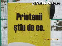 [P16] Stiti de ce a luat fiinta AFA?? » foto by bog68
 - 
<span class="allrVoted glyphicon glyphicon-heart hidden" id="av302130"></span>
<a class="m-l-10 hidden" id="sv302130" onclick="voting_Foto_DelVot(,302130,11176)" role="button">șterge vot <span class="glyphicon glyphicon-remove"></span></a>
<a id="v9302130" class=" c-red"  onclick="voting_Foto_SetVot(302130)" role="button"><span class="glyphicon glyphicon-heart-empty"></span> <b>LIKE</b> = Votează poza</a> <img class="hidden"  id="f302130W9" src="/imagini/loader.gif" border="0" /><span class="AjErrMes hidden" id="e302130ErM"></span>