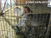 [P06] Reni. Mos Craciun plecase si uitase de ei. » foto by bog68
 - 
<span class="allrVoted glyphicon glyphicon-heart hidden" id="av302113"></span>
<a class="m-l-10 hidden" id="sv302113" onclick="voting_Foto_DelVot(,302113,11176)" role="button">șterge vot <span class="glyphicon glyphicon-remove"></span></a>
<a id="v9302113" class=" c-red"  onclick="voting_Foto_SetVot(302113)" role="button"><span class="glyphicon glyphicon-heart-empty"></span> <b>LIKE</b> = Votează poza</a> <img class="hidden"  id="f302113W9" src="/imagini/loader.gif" border="0" /><span class="AjErrMes hidden" id="e302113ErM"></span>