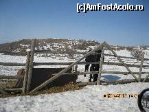 [P08] Locul unde se putea face calarie. Calul putere este pregatit. Va asteapta! » foto by bog68
 - 
<span class="allrVoted glyphicon glyphicon-heart hidden" id="av302116"></span>
<a class="m-l-10 hidden" id="sv302116" onclick="voting_Foto_DelVot(,302116,11176)" role="button">șterge vot <span class="glyphicon glyphicon-remove"></span></a>
<a id="v9302116" class=" c-red"  onclick="voting_Foto_SetVot(302116)" role="button"><span class="glyphicon glyphicon-heart-empty"></span> <b>LIKE</b> = Votează poza</a> <img class="hidden"  id="f302116W9" src="/imagini/loader.gif" border="0" /><span class="AjErrMes hidden" id="e302116ErM"></span>