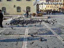 [P03] Porumbei în Piața Sfatului din Brașov. » foto by lucsim
 - 
<span class="allrVoted glyphicon glyphicon-heart hidden" id="av302437"></span>
<a class="m-l-10 hidden" id="sv302437" onclick="voting_Foto_DelVot(,302437,11176)" role="button">șterge vot <span class="glyphicon glyphicon-remove"></span></a>
<a id="v9302437" class=" c-red"  onclick="voting_Foto_SetVot(302437)" role="button"><span class="glyphicon glyphicon-heart-empty"></span> <b>LIKE</b> = Votează poza</a> <img class="hidden"  id="f302437W9" src="/imagini/loader.gif" border="0" /><span class="AjErrMes hidden" id="e302437ErM"></span>