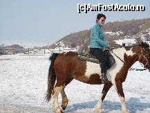 [P10] nu-i asa de greu sa te tii pe bine in sa. Indiana, iapa mea frumoasa. » foto by adri-nico
 - 
<span class="allrVoted glyphicon glyphicon-heart hidden" id="av302134"></span>
<a class="m-l-10 hidden" id="sv302134" onclick="voting_Foto_DelVot(,302134,11176)" role="button">șterge vot <span class="glyphicon glyphicon-remove"></span></a>
<a id="v9302134" class=" c-red"  onclick="voting_Foto_SetVot(302134)" role="button"><span class="glyphicon glyphicon-heart-empty"></span> <b>LIKE</b> = Votează poza</a> <img class="hidden"  id="f302134W9" src="/imagini/loader.gif" border="0" /><span class="AjErrMes hidden" id="e302134ErM"></span>