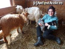 [P08] cel mai frumos moment din staulul cu iezi. » foto by adri-nico
 - 
<span class="allrVoted glyphicon glyphicon-heart hidden" id="av302131"></span>
<a class="m-l-10 hidden" id="sv302131" onclick="voting_Foto_DelVot(,302131,11176)" role="button">șterge vot <span class="glyphicon glyphicon-remove"></span></a>
<a id="v9302131" class=" c-red"  onclick="voting_Foto_SetVot(302131)" role="button"><span class="glyphicon glyphicon-heart-empty"></span> <b>LIKE</b> = Votează poza</a> <img class="hidden"  id="f302131W9" src="/imagini/loader.gif" border="0" /><span class="AjErrMes hidden" id="e302131ErM"></span>