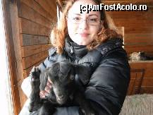 [P15] Un iedut bland, care nu s-a speriat deloc cand am vrut sa-l iau in brate. Era cald si moale, m-a impresionat. Nu am putut sa nu ma gandesc cat de cruzi suntem noi oamenii ca luam viata acestor fiinte mici si fara aparare, doar ca sa ne infruptam din carnea lor:( » foto by spezam
 - 
<span class="allrVoted glyphicon glyphicon-heart hidden" id="av302416"></span>
<a class="m-l-10 hidden" id="sv302416" onclick="voting_Foto_DelVot(,302416,11176)" role="button">șterge vot <span class="glyphicon glyphicon-remove"></span></a>
<a id="v9302416" class=" c-red"  onclick="voting_Foto_SetVot(302416)" role="button"><span class="glyphicon glyphicon-heart-empty"></span> <b>LIKE</b> = Votează poza</a> <img class="hidden"  id="f302416W9" src="/imagini/loader.gif" border="0" /><span class="AjErrMes hidden" id="e302416ErM"></span>