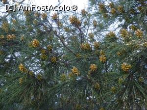 [P33] Ecopark Varna » foto by nicole33
 - 
<span class="allrVoted glyphicon glyphicon-heart hidden" id="av1071356"></span>
<a class="m-l-10 hidden" id="sv1071356" onclick="voting_Foto_DelVot(,1071356,11202)" role="button">șterge vot <span class="glyphicon glyphicon-remove"></span></a>
<a id="v91071356" class=" c-red"  onclick="voting_Foto_SetVot(1071356)" role="button"><span class="glyphicon glyphicon-heart-empty"></span> <b>LIKE</b> = Votează poza</a> <img class="hidden"  id="f1071356W9" src="/imagini/loader.gif" border="0" /><span class="AjErrMes hidden" id="e1071356ErM"></span>