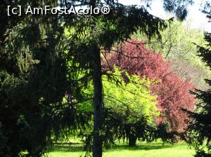 [P34] Ecopark Varna » foto by nicole33
 - 
<span class="allrVoted glyphicon glyphicon-heart hidden" id="av1071357"></span>
<a class="m-l-10 hidden" id="sv1071357" onclick="voting_Foto_DelVot(,1071357,11202)" role="button">șterge vot <span class="glyphicon glyphicon-remove"></span></a>
<a id="v91071357" class=" c-red"  onclick="voting_Foto_SetVot(1071357)" role="button"><span class="glyphicon glyphicon-heart-empty"></span> <b>LIKE</b> = Votează poza</a> <img class="hidden"  id="f1071357W9" src="/imagini/loader.gif" border="0" /><span class="AjErrMes hidden" id="e1071357ErM"></span>