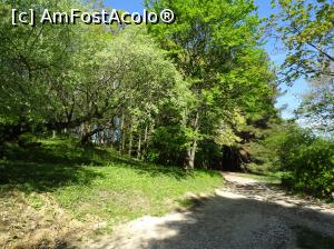 [P37] Ecopark Varna - prin pădure » foto by nicole33
 - 
<span class="allrVoted glyphicon glyphicon-heart hidden" id="av1071360"></span>
<a class="m-l-10 hidden" id="sv1071360" onclick="voting_Foto_DelVot(,1071360,11202)" role="button">șterge vot <span class="glyphicon glyphicon-remove"></span></a>
<a id="v91071360" class=" c-red"  onclick="voting_Foto_SetVot(1071360)" role="button"><span class="glyphicon glyphicon-heart-empty"></span> <b>LIKE</b> = Votează poza</a> <img class="hidden"  id="f1071360W9" src="/imagini/loader.gif" border="0" /><span class="AjErrMes hidden" id="e1071360ErM"></span>