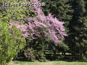 [P38] Ecopark Varna - în pădure » foto by nicole33
 - 
<span class="allrVoted glyphicon glyphicon-heart hidden" id="av1071361"></span>
<a class="m-l-10 hidden" id="sv1071361" onclick="voting_Foto_DelVot(,1071361,11202)" role="button">șterge vot <span class="glyphicon glyphicon-remove"></span></a>
<a id="v91071361" class=" c-red"  onclick="voting_Foto_SetVot(1071361)" role="button"><span class="glyphicon glyphicon-heart-empty"></span> <b>LIKE</b> = Votează poza</a> <img class="hidden"  id="f1071361W9" src="/imagini/loader.gif" border="0" /><span class="AjErrMes hidden" id="e1071361ErM"></span>