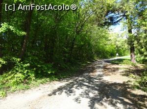 [P39] Ecopark Varna - în pădure » foto by nicole33
 - 
<span class="allrVoted glyphicon glyphicon-heart hidden" id="av1071362"></span>
<a class="m-l-10 hidden" id="sv1071362" onclick="voting_Foto_DelVot(,1071362,11202)" role="button">șterge vot <span class="glyphicon glyphicon-remove"></span></a>
<a id="v91071362" class=" c-red"  onclick="voting_Foto_SetVot(1071362)" role="button"><span class="glyphicon glyphicon-heart-empty"></span> <b>LIKE</b> = Votează poza</a> <img class="hidden"  id="f1071362W9" src="/imagini/loader.gif" border="0" /><span class="AjErrMes hidden" id="e1071362ErM"></span>