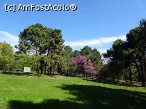 [P40] Ecopark Varna - în pădure » foto by nicole33
 - 
<span class="allrVoted glyphicon glyphicon-heart hidden" id="av1071363"></span>
<a class="m-l-10 hidden" id="sv1071363" onclick="voting_Foto_DelVot(,1071363,11202)" role="button">șterge vot <span class="glyphicon glyphicon-remove"></span></a>
<a id="v91071363" class=" c-red"  onclick="voting_Foto_SetVot(1071363)" role="button"><span class="glyphicon glyphicon-heart-empty"></span> <b>LIKE</b> = Votează poza</a> <img class="hidden"  id="f1071363W9" src="/imagini/loader.gif" border="0" /><span class="AjErrMes hidden" id="e1071363ErM"></span>