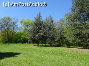 [P42] Ecopark Varna - în pădure » foto by nicole33
 - 
<span class="allrVoted glyphicon glyphicon-heart hidden" id="av1071365"></span>
<a class="m-l-10 hidden" id="sv1071365" onclick="voting_Foto_DelVot(,1071365,11202)" role="button">șterge vot <span class="glyphicon glyphicon-remove"></span></a>
<a id="v91071365" class=" c-red"  onclick="voting_Foto_SetVot(1071365)" role="button"><span class="glyphicon glyphicon-heart-empty"></span> <b>LIKE</b> = Votează poza</a> <img class="hidden"  id="f1071365W9" src="/imagini/loader.gif" border="0" /><span class="AjErrMes hidden" id="e1071365ErM"></span>