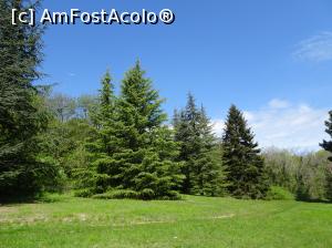 [P43] Ecopark Varna - în pădurea de brazi » foto by nicole33
 - 
<span class="allrVoted glyphicon glyphicon-heart hidden" id="av1071366"></span>
<a class="m-l-10 hidden" id="sv1071366" onclick="voting_Foto_DelVot(,1071366,11202)" role="button">șterge vot <span class="glyphicon glyphicon-remove"></span></a>
<a id="v91071366" class=" c-red"  onclick="voting_Foto_SetVot(1071366)" role="button"><span class="glyphicon glyphicon-heart-empty"></span> <b>LIKE</b> = Votează poza</a> <img class="hidden"  id="f1071366W9" src="/imagini/loader.gif" border="0" /><span class="AjErrMes hidden" id="e1071366ErM"></span>