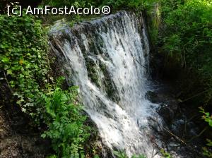 [P45] Ecopark Varna - la cascadă » foto by nicole33
 - 
<span class="allrVoted glyphicon glyphicon-heart hidden" id="av1071368"></span>
<a class="m-l-10 hidden" id="sv1071368" onclick="voting_Foto_DelVot(,1071368,11202)" role="button">șterge vot <span class="glyphicon glyphicon-remove"></span></a>
<a id="v91071368" class=" c-red"  onclick="voting_Foto_SetVot(1071368)" role="button"><span class="glyphicon glyphicon-heart-empty"></span> <b>LIKE</b> = Votează poza</a> <img class="hidden"  id="f1071368W9" src="/imagini/loader.gif" border="0" /><span class="AjErrMes hidden" id="e1071368ErM"></span>