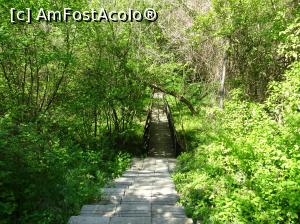 [P47] Ecopark Varna - trepte spre podul de lemn » foto by nicole33
 - 
<span class="allrVoted glyphicon glyphicon-heart hidden" id="av1071370"></span>
<a class="m-l-10 hidden" id="sv1071370" onclick="voting_Foto_DelVot(,1071370,11202)" role="button">șterge vot <span class="glyphicon glyphicon-remove"></span></a>
<a id="v91071370" class=" c-red"  onclick="voting_Foto_SetVot(1071370)" role="button"><span class="glyphicon glyphicon-heart-empty"></span> <b>LIKE</b> = Votează poza</a> <img class="hidden"  id="f1071370W9" src="/imagini/loader.gif" border="0" /><span class="AjErrMes hidden" id="e1071370ErM"></span>