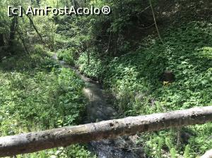 [P48] Ecopark Varna - pârâul văzut de pe podul de lemn » foto by nicole33
 - 
<span class="allrVoted glyphicon glyphicon-heart hidden" id="av1071371"></span>
<a class="m-l-10 hidden" id="sv1071371" onclick="voting_Foto_DelVot(,1071371,11202)" role="button">șterge vot <span class="glyphicon glyphicon-remove"></span></a>
<a id="v91071371" class=" c-red"  onclick="voting_Foto_SetVot(1071371)" role="button"><span class="glyphicon glyphicon-heart-empty"></span> <b>LIKE</b> = Votează poza</a> <img class="hidden"  id="f1071371W9" src="/imagini/loader.gif" border="0" /><span class="AjErrMes hidden" id="e1071371ErM"></span>