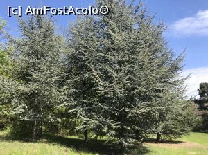 [P49] Ecopark Varna - la munte?!  » foto by nicole33
 - 
<span class="allrVoted glyphicon glyphicon-heart hidden" id="av1071372"></span>
<a class="m-l-10 hidden" id="sv1071372" onclick="voting_Foto_DelVot(,1071372,11202)" role="button">șterge vot <span class="glyphicon glyphicon-remove"></span></a>
<a id="v91071372" class=" c-red"  onclick="voting_Foto_SetVot(1071372)" role="button"><span class="glyphicon glyphicon-heart-empty"></span> <b>LIKE</b> = Votează poza</a> <img class="hidden"  id="f1071372W9" src="/imagini/loader.gif" border="0" /><span class="AjErrMes hidden" id="e1071372ErM"></span>